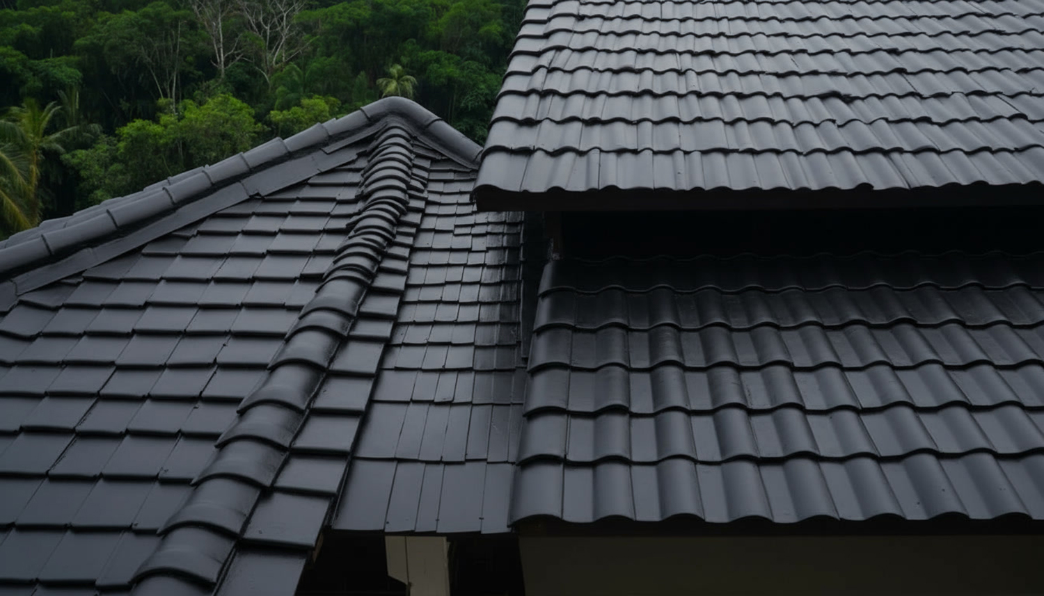 roof-painting-after